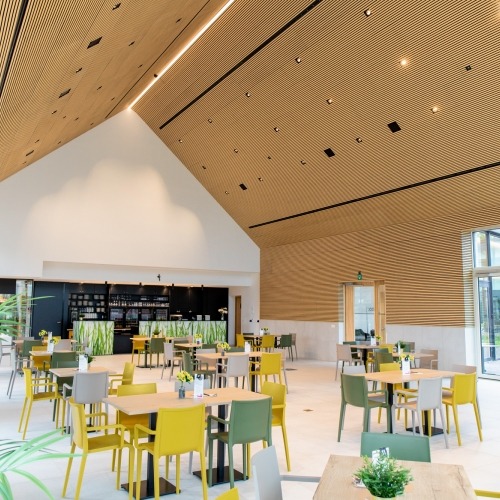 Dining hall with acoustic pannels on the ceiling