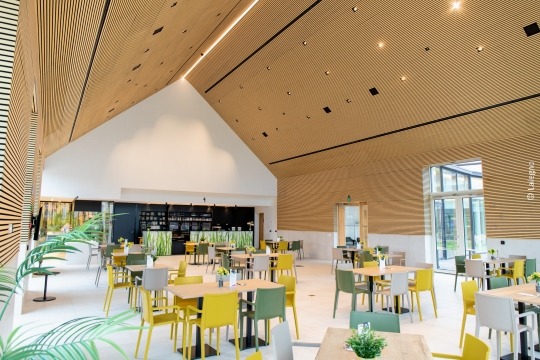 Dining hall with acoustic pannels on the ceiling