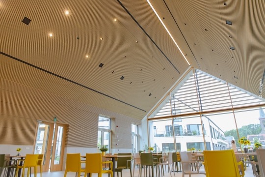 ceiling with acoustic panels