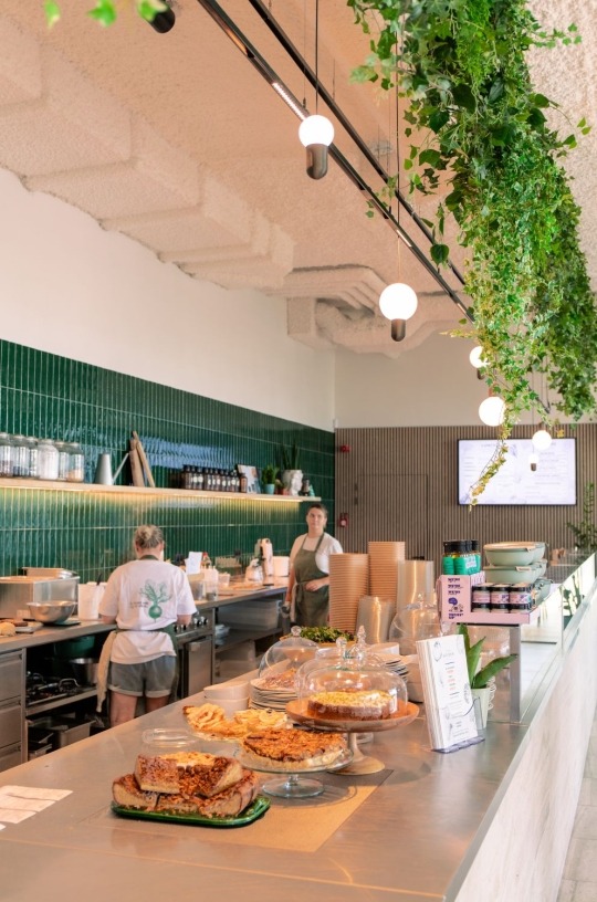 Counter with food, acoustic panels on the wall