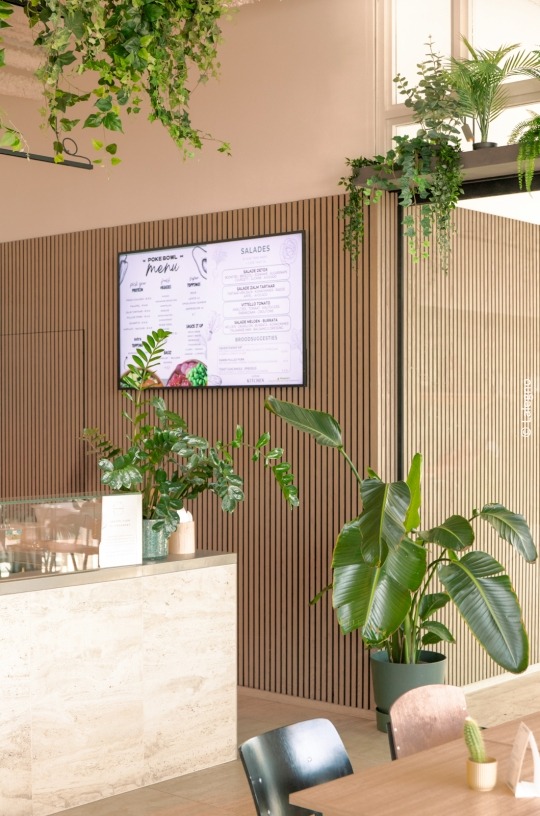interior with plants and acoustic panels on the wall