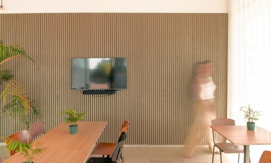 cozy seating area with acoustic panels on the wall