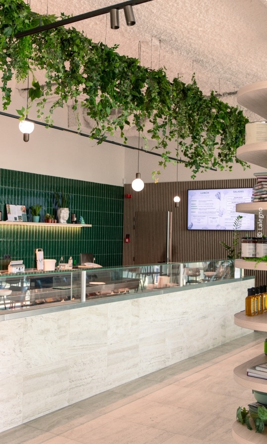 counter with food and acoustic panels on the wall