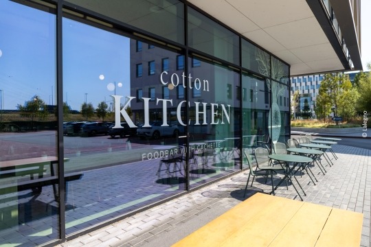 window with the words "cotton kitchen" on