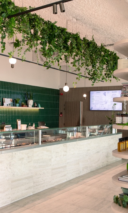 counter with food and acoustic panels on the wall